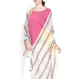 Style Quotient Multicolor Striped Shawl image 2