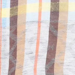 Style Quotient Multicolor Striped Shawl image 4