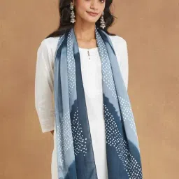 Fabindia Blue Printed Stole image 4
