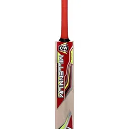 CW Millennium Kashmir Willow Cricket Bat-picture-35