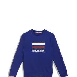 Tommy Hilfiger Kids Blue Logo Full Sleeves Sweatshirt image 1