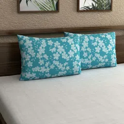 Home Ecstasy Turqoise Cotton 140 TC Pillow Cover - Set of 2 image 1