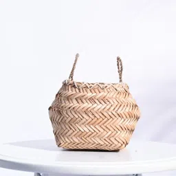 Ugaoo Beige Palm Leaf Sitalpati Small Planter image 2