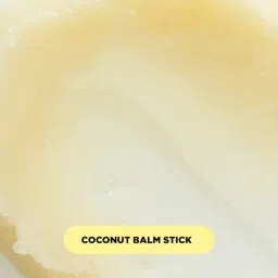 Dr. PAWPAW Lip Balm Stick Coconut - 4 gm image 3