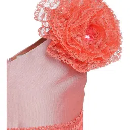 A Little Fable Kids Pink Lace Dress image 3