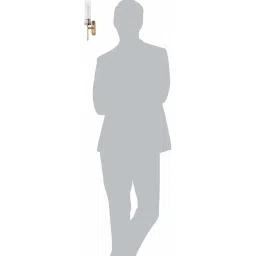 Fos Lighting Golden Mini Torchiere Wall Sconce Light With Cylindrical Glass (Bulb not included) image 4