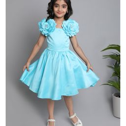 The Magic Wand Sleeveless Floral Applique Detailed Dress - Blue-picture-48