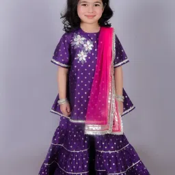 Lil Drama Kids Purple & Pink Embroidered Kurta with Gharara-picture-35