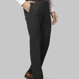 Raymond Green  Regular Fit Trousers image 4