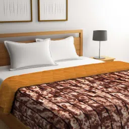 NEUDIS Brown Microfibre 250 TC AC Quilt - Set of 1-image-60