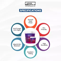 ADMIRE PAINTS STAR PREMIUM Exterior Acrylic Emulsion 20 L Capacity Still Aqua image 2
