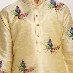 DEVOILER Boys Butterfly Printed Straight Kurta image 3