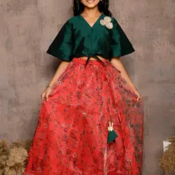 LilPicks Kids Green & Red Regular Fit Lehenga Choli-picture-37