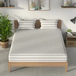 Nautica Amethyest Cotton Striped 160 TC King Bedsheet with 2 Pillow Covers-picture-37