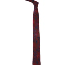 Allen Solly Maroon Printed Formal Tie image 1