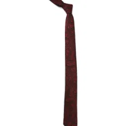 Allen Solly Maroon Printed Formal Tie image 1