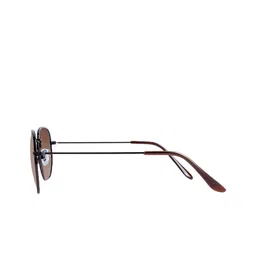Woggles Unisex Brown Lens & Brown Other Sunglasses with image 2