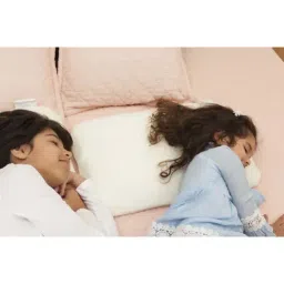 The White Willow White Regular Kids Pillow - Set of 1 image 4