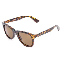 Skechers Brown Wayfarer Sunglasses for Men-image-72