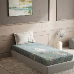 DDecor Green Cotton 150 TC Single Size Bedsheet With Pillow Cover image 1