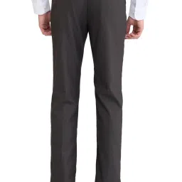 Park Avenue Brown Regular Fit Texture Trousers image 2