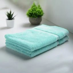 Spaces Hygro Light Green 600 GSM Cotton Hand Towel - Set of 2-picture-12