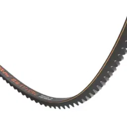 Pix CX100 Classical Section Raw Edge Cogged Belt (Length 2.54 m (100 Inch)) image 1