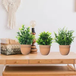 Dekorly Black Plastic Fern Artificial Flowers & Plants With Pot image 4