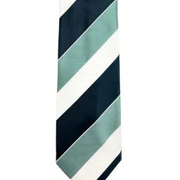 The Tie Hub Men Striped Broad Tie image 3