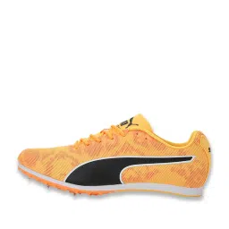 Puma Men's evoSPEED Sun Stream Cricket Shoes image 2
