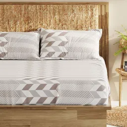 Bianca Monkler Brown 210 TC Cotton King Bedsheet with 2 Pillow Covers image 2