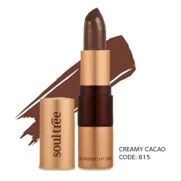 SoulTree Ayurvedic Lipstick - Creamy Cacao 815 - 4 gm | Organic Lipstick image 1