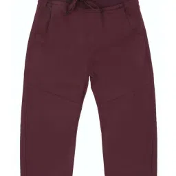 Allen Solly Junior Maroon Cotton Regular Fit Trousers image 1