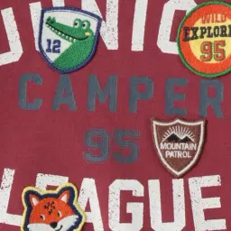 R&B Boys Maroon Cotton Printed Sweatshirt image 5