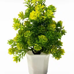 Dekorly Multi Plastic Artificial Flowers & Plants With Pot image 2