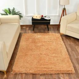 Presto Beige Polyester Soft Feel Anti-Skid Carpet-picture-31