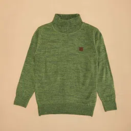 Pantaloons Junior Boys Forest Shade Self Full Sleeves Sweaters & Cardigans image 3