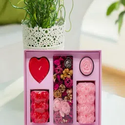 IRIS Pink Wax Fragrance Gift Set of Candles & Potpourri-image-4