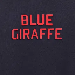 Blue Giraffe Boys Blue Cotton Printed Full Sleeves 1 Sweatshirt image 3