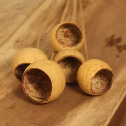 Vanchai Brown 4 Pieces Artificial Plant image 2