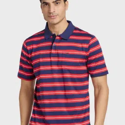 Colorplus Red & Blue Cotton Regular Fit Striped Polo T-Shirt-picture-39