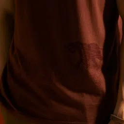 ANDAMEN Brown Regular Fit Printed Crew T-Shirt image 3