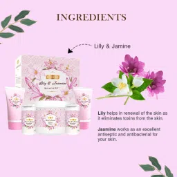 Richfeel Lily & Jasmine Bleach Kit (320 gm) - Pack of 2 image 3