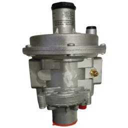 Madas Regulator Filter Aluminium Silver 0.5 - 5 Bar Pressure Bar for Industrial Use, FRG/2MBZ DN 25-picture-21