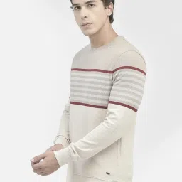 Crimsoune Club Beige Regular Fit Striped Sweatshirt image 3