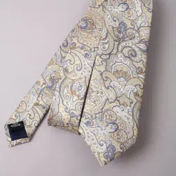 Van Heusen Beige Polyester Printed Tie-picture-28