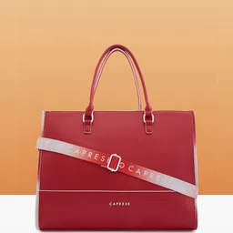 Caprese Women Solid Structured Leather Handheld Bag-picture-29