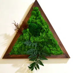 mybageecha Triad Wilderness Preserved Moss Frame with Dark Wood-image-31