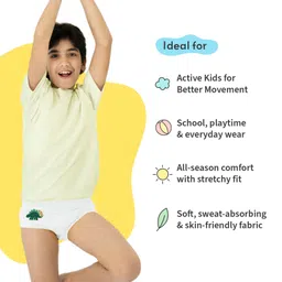 SuperBottoms Bamboo Knit Pack Of 5 Solid Super Soft Briefs With 5 Dinosaur Stickers - White image 5