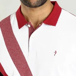 Indian Terrain Colourblocked Polo Collar T-shirt image 2